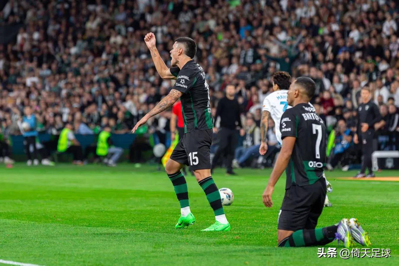 亚博体育官方网站-南潇谢承宇小说背景设定